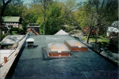 epdm_roof_with_skylights__B_