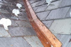Copper_valley__B_