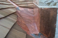copper_cricket__B_